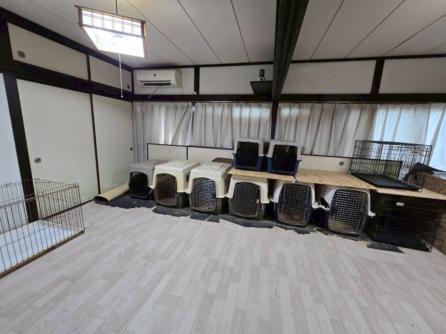 ホテルの様子（ワンちゃん画像）